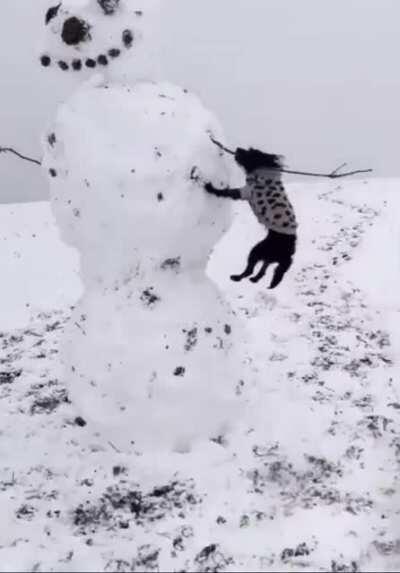 touch tha snowman
