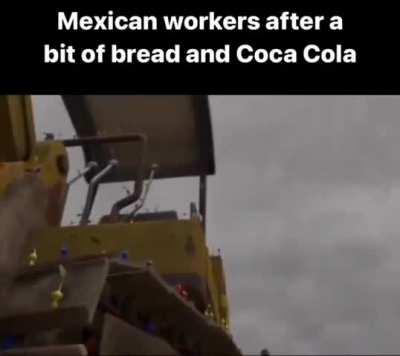 Weakest mexican subsisting on pure sugar