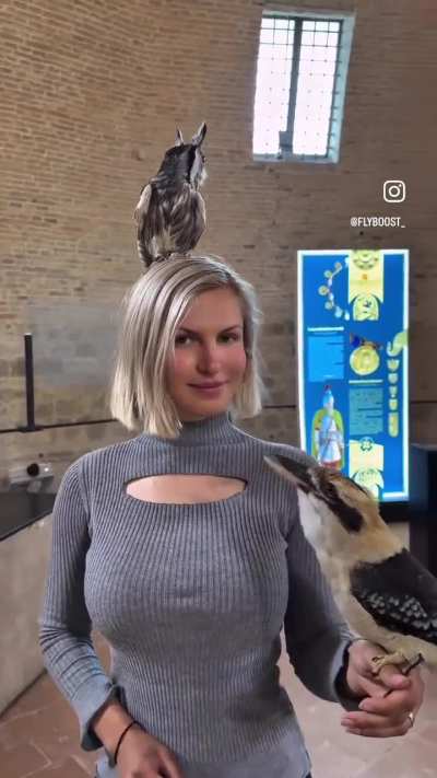A gal and her kookaburra and her… other super cute Bird??