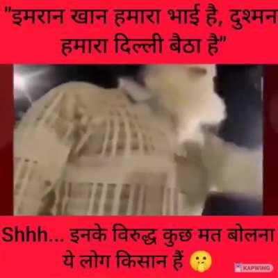 do they really think like this?