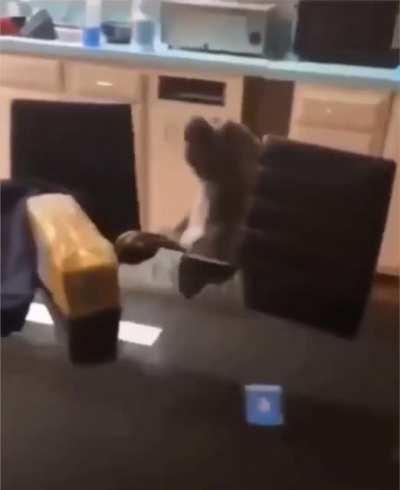 YNNF because will mock your fears at your most venerable moment.