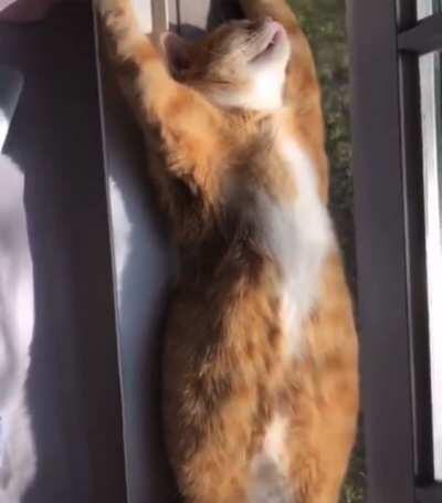 Put your mf hands up!