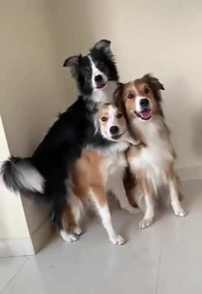 If you need to pose for a photo - we are the easiest!