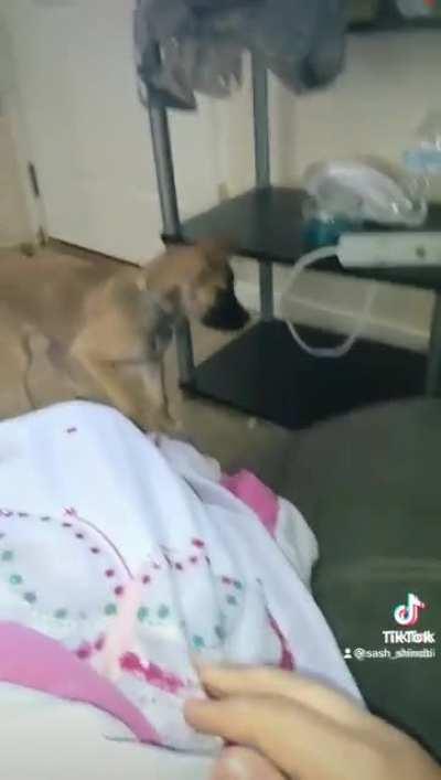 Well that escalated quicky