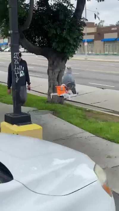 I made a robotic bird drone that… poops