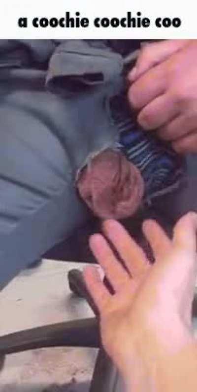 Coaching coaching coo