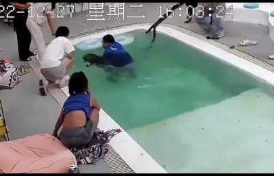 When your dogs test you 