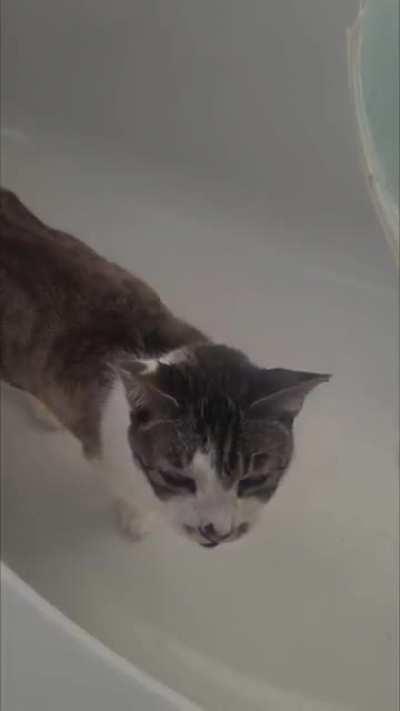 Begging for the freshest of water