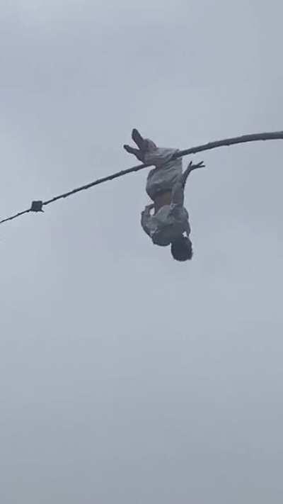 If this isn't talent..I dunno what is!