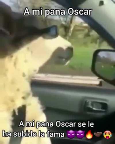 Ten cuidado Oscar 🥶🥶