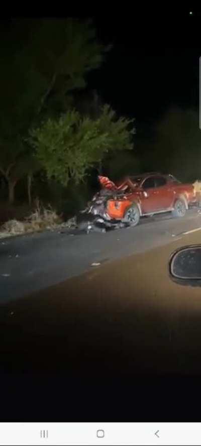 Aftermath: herd of cows crossed street at night but some were struck and killed by a car 