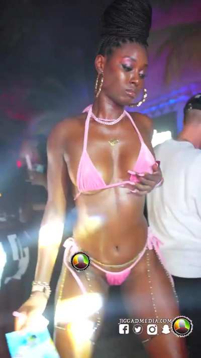 Miami Vibes @dutchbanks