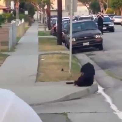 These are different cops from every corner of the world #acab