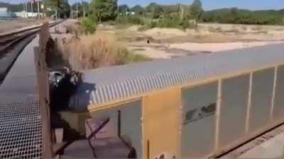 What is covered by Goods in Transit /Cargo in Transit Insurance?