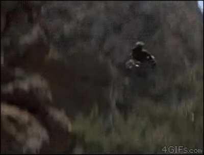 Watching my portfolio this week ♿️