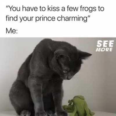 Why settle for someone who could potentially be a prince when there are ones who already are?