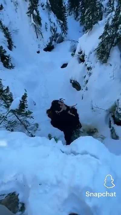 When the barbarian see something shiny in a hole.