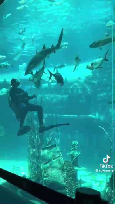 No one told me this was an option on career day.