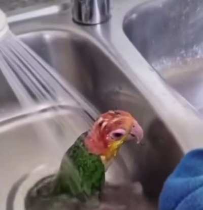 56%?🏮🪧💈🫸✋👇🤚🫲