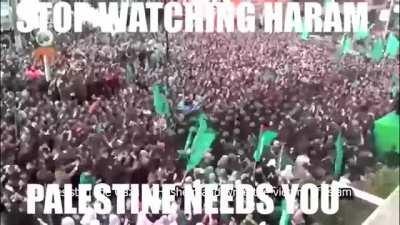 فلسطين بحاجة اليك