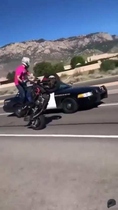 New Mexico cop pulled gun on motorcyclist doing stunt on highway