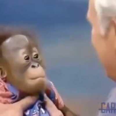 El primer bebé del 2021 nació en Tucumán...