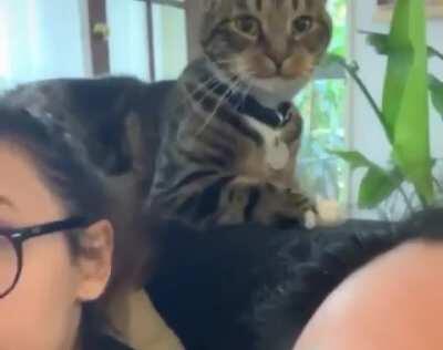 When you're being a pain in the ass and then you realize you're on camera