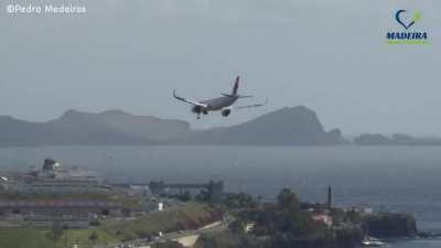Air Portugal Landing at Madeira today (no pax onboard)