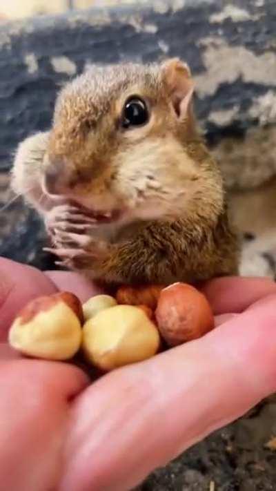 Squishy it's squishy