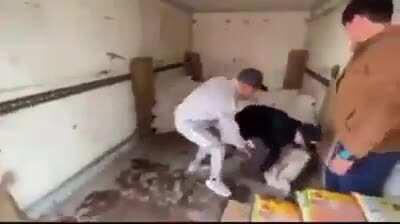 Not a meme, Just an imposter pretending to do tasks (like our government) 😆