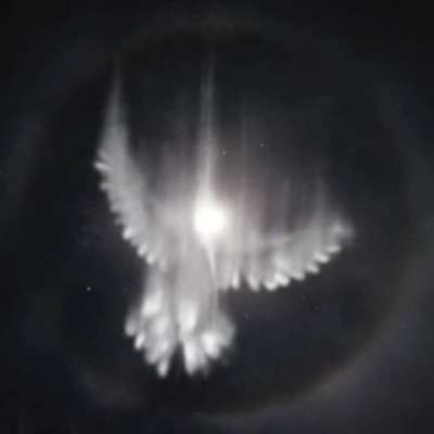 SHOWTIME/THIS ONE HERE