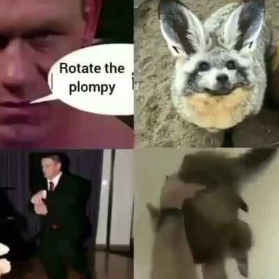 r(ule)otate the plompy