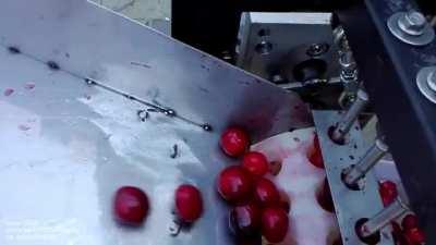 Cherry pitter