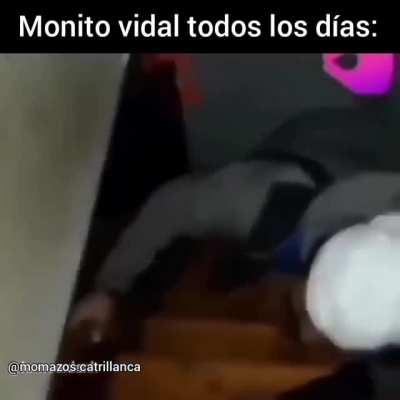 Vidal borracho culiao