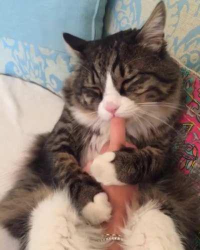 She just wants to be a kitten again