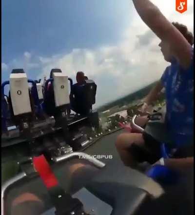 Panic reaction of a goat