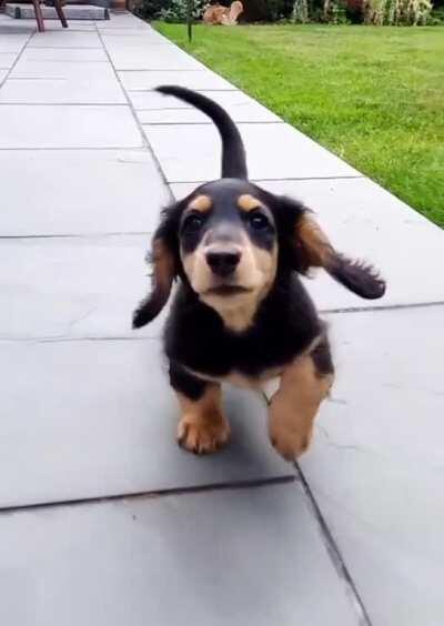 Maybe she’s born with it..