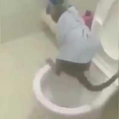 but here's the dreamer