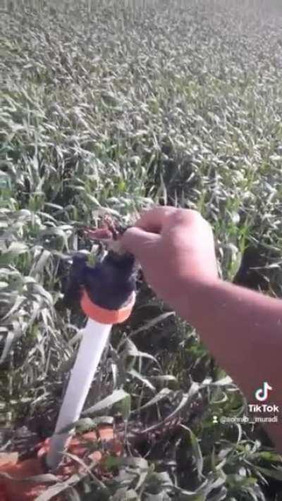 I must warn the rest!