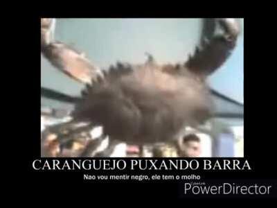 negro ele me parece bem fresco