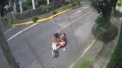 Pitbull does a nibble.