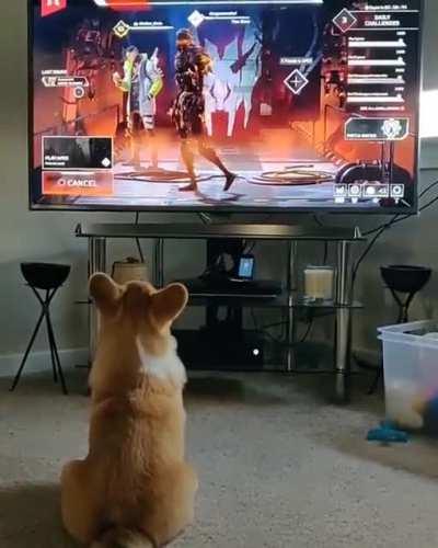 Corgo hecking hates Revenant!!!