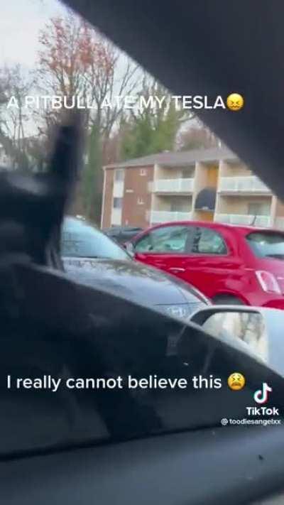 I guess they don’t just go after children, stay safe.