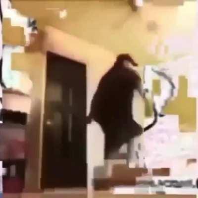 Gordinho limpando furys da sua timeline