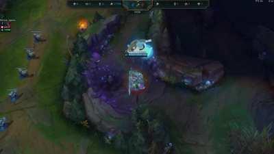 Actual Pokémon as jungle pets