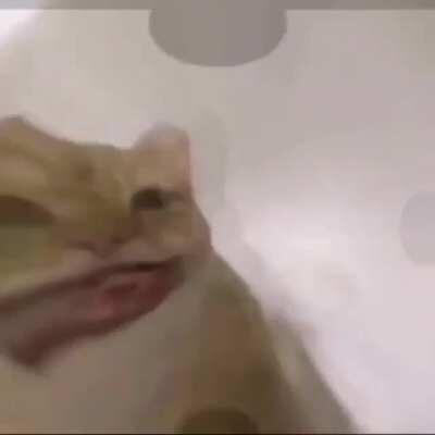 W - Word 😯 W - Word 😯 W - Word 😯 W - Word 😯 W - Word 😯 W - Word 😯 W - Word 😯 W - Word 😯 W - Word 😯 W - Word 😯 W - Word 😯 W - Word 😯 W - Word 😯 W - Word 😯