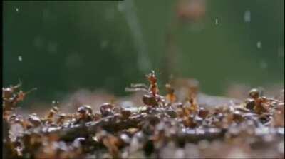 Use a stick not your finger