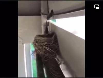 You will never see a better version of The Grudge like this one… EVER 😂