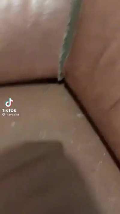 Off to the underworld