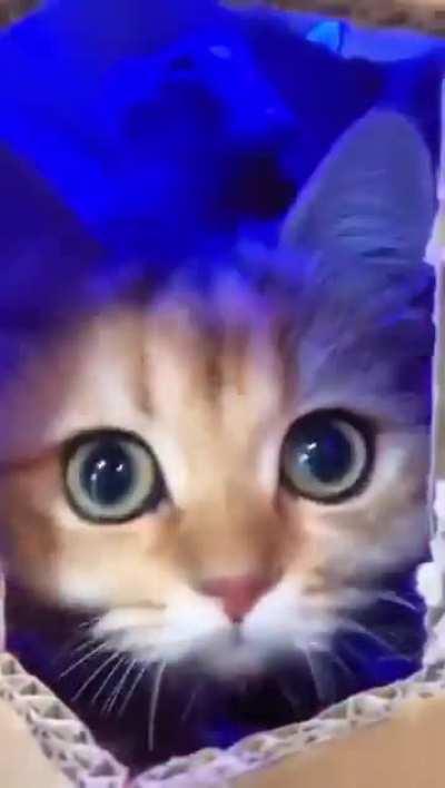 don’t come knockin’